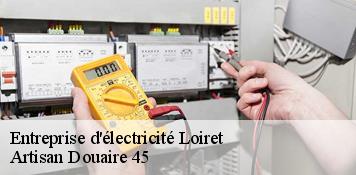 Entreprise d'électricité 45 Loiret  Artisan Douaire 45