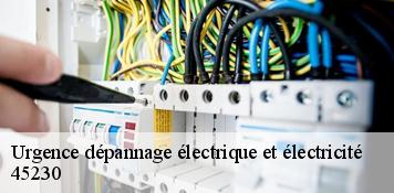 Urgence dépannage électrique et électricité  adon-45230 Artisan Douaire 45