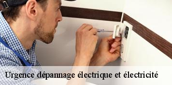 Urgence dépannage électrique et électricité  andonville-45480 Artisan Douaire 45