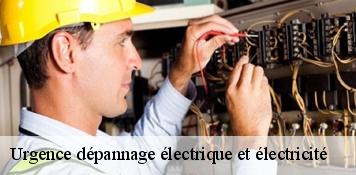 Urgence dépannage électrique et électricité  cesarville-dossainville-45300 Artisan Douaire 45