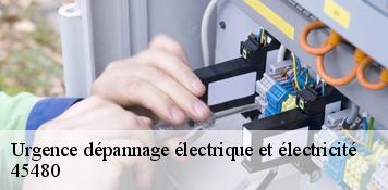 Urgence dépannage électrique et électricité  outarville-45480 Artisan Douaire 45