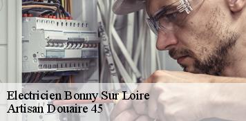 Electricien  bonny-sur-loire-45420 Artisan Douaire 45