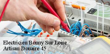 Electricien  bonny-sur-loire-45420 Artisan Douaire 45