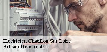 Electricien  chatillon-sur-loire-45360 Artisan Douaire 45