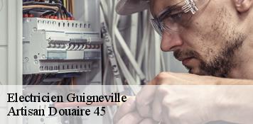 Electricien  guigneville-45300 Artisan Douaire 45