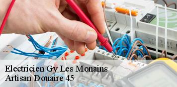 Electricien  gy-les-monains-45220 Artisan Douaire 45