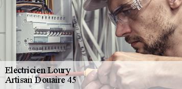 Electricien  loury-45470 Artisan Douaire 45