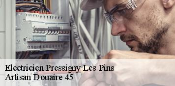 Electricien  pressigny-les-pins-45290 Artisan Douaire 45