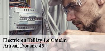 Electricien  teillay-le-gaudin-45480 Artisan Douaire 45