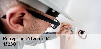 Entreprise d'électricité  aillant-sur-milleron-45230 Artisan Douaire 45