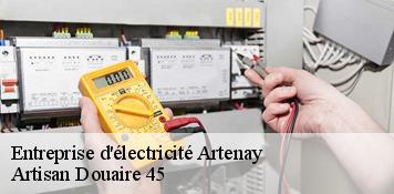 Entreprise d'électricité  artenay-45410 Artisan Douaire 45