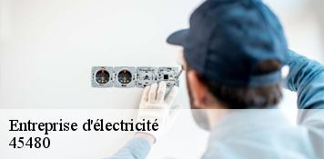 Entreprise d'électricité  autruy-sur-juine-45480 Artisan Douaire 45