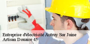 Entreprise d'électricité  autruy-sur-juine-45480 Artisan Douaire 45