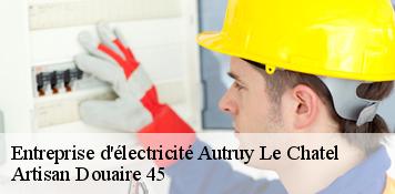 Entreprise d'électricité  autruy-le-chatel-45500 Artisan Douaire 45