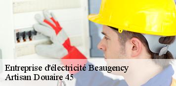 Entreprise d'électricité  beaugency-45190 Artisan Douaire 45