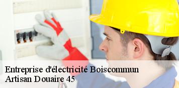 Entreprise d'électricité  boiscommun-45340 Artisan Douaire 45