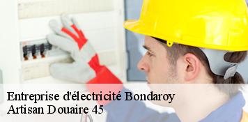 Entreprise d'électricité  bondaroy-45300 Artisan Douaire 45
