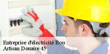 Entreprise d'électricité  bou-45430 Artisan Douaire 45