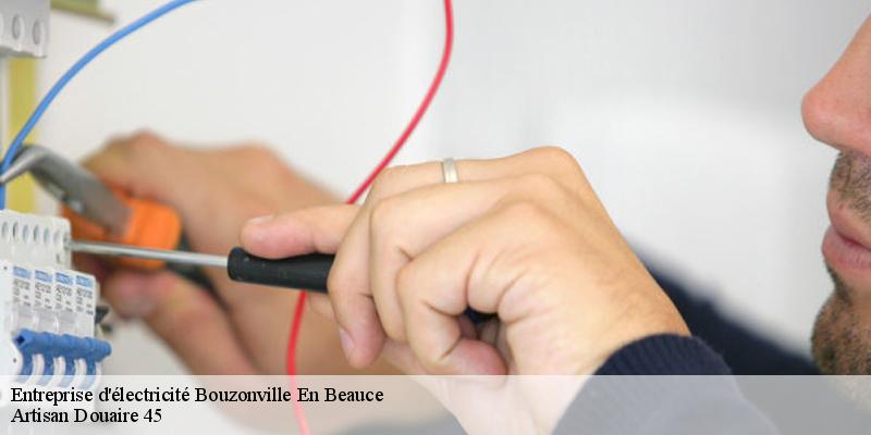 Entreprise d'électricité  bouzonville-en-beauce-45300 Artisan Douaire 45