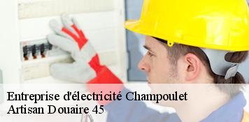 Entreprise d'électricité  champoulet-45420 Artisan Douaire 45