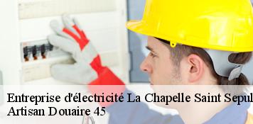 Entreprise d'électricité  la-chapelle-saint-sepulcre-45210 Artisan Douaire 45