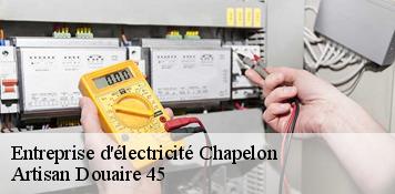 Entreprise d'électricité  chapelon-45270 Artisan Douaire 45