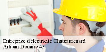 Entreprise d'électricité  chateaurenard-45220 Artisan Douaire 45