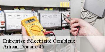 Entreprise d'électricité  combleux-45800 Artisan Douaire 45