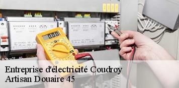 Entreprise d'électricité  coudroy-45260 Artisan Douaire 45