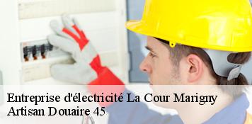 Entreprise d'électricité  la-cour-marigny-45260 Artisan Douaire 45