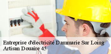 Entreprise d'électricité  dammarie-sur-loing-45230 Artisan Douaire 45