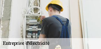 Entreprise d'électricité  dampierre-en-burly-45570 Artisan Douaire 45