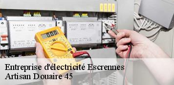 Entreprise d'électricité  escrennes-45300 Artisan Douaire 45