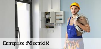 Entreprise d'électricité  ferolles-45150 Artisan Douaire 45
