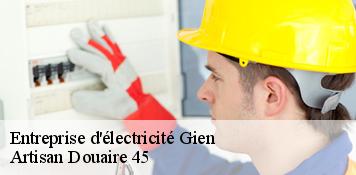 Entreprise d'électricité  gien-45500 Artisan Douaire 45