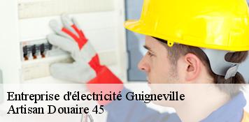Entreprise d'électricité  guigneville-45300 Artisan Douaire 45