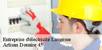 Entreprise d'électricité  langesse-45290 Artisan Douaire 45