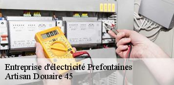 Entreprise d'électricité  prefontaines-45490 Artisan Douaire 45