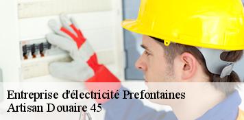 Entreprise d'électricité  prefontaines-45490 Artisan Douaire 45