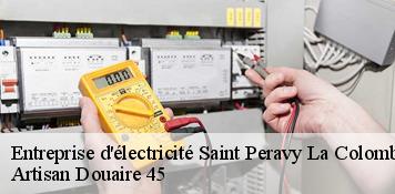 Entreprise d'électricité  saint-peravy-la-colombe-45310 Artisan Douaire 45