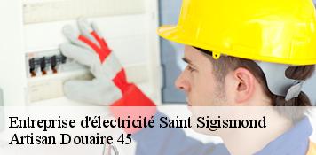 Entreprise d'électricité  saint-sigismond-45310 Artisan Douaire 45