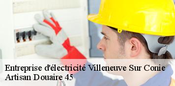 Entreprise d'électricité  villeneuve-sur-conie-45310 Artisan Douaire 45