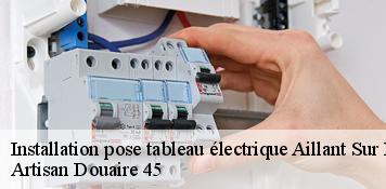 Installation pose tableau électrique  aillant-sur-milleron-45230 Artisan Douaire 45