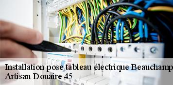 Installation pose tableau électrique  beauchamp-sur-huillard-45270 Artisan Douaire 45