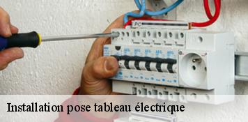 Installation pose tableau électrique  bromeilles-45390 Artisan Douaire 45