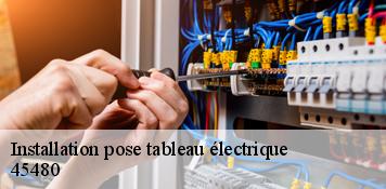 Installation pose tableau électrique  guignonville-45480 Artisan Douaire 45