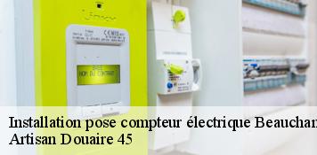 Installation pose compteur électrique  beauchamp-sur-huillard-45270 Artisan Douaire 45