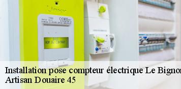 Installation pose compteur électrique  le-bignon-mirabeau-45210 Artisan Douaire 45