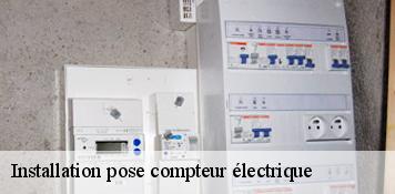 Installation pose compteur électrique  cercottes-45520 Artisan Douaire 45