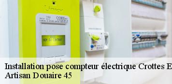 Installation pose compteur électrique  crottes-en-pithiverais-45170 Artisan Douaire 45